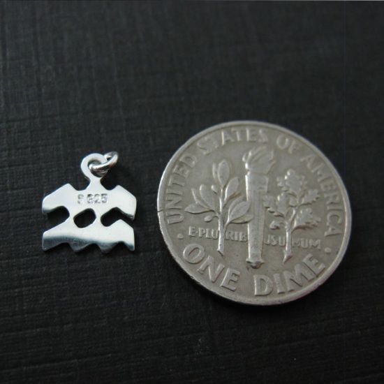 Wholesale Sterling Silver Zodiac Horoscope Charms, Charms and Pendants for Jewelry Making, Wholesale Findings
