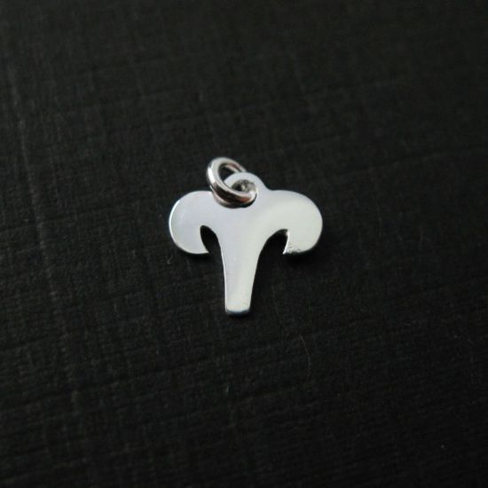 Wholesale Sterling Silver Zodiac Horoscope Charms, Charms and Pendants for Jewelry Making, Wholesale Findings