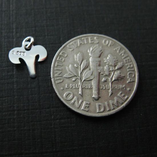 Wholesale Sterling Silver Zodiac Horoscope Charms, Charms and Pendants for Jewelry Making, Wholesale Findings
