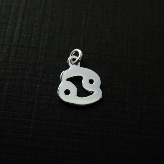 Wholesale Sterling Silver Zodiac Horoscope Charms, Charms and Pendants for Jewelry Making, Wholesale Findings