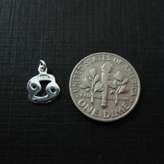 Wholesale Sterling Silver Zodiac Horoscope Charms, Charms and Pendants for Jewelry Making, Wholesale Findings