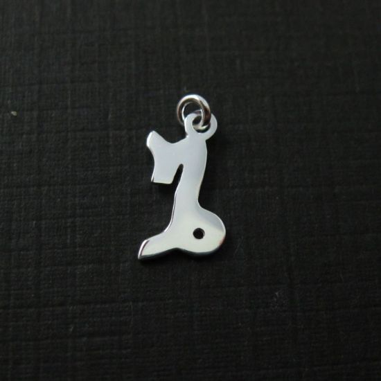 Wholesale Sterling Silver Zodiac Horoscope Charms, Charms and Pendants for Jewelry Making, Wholesale Findings