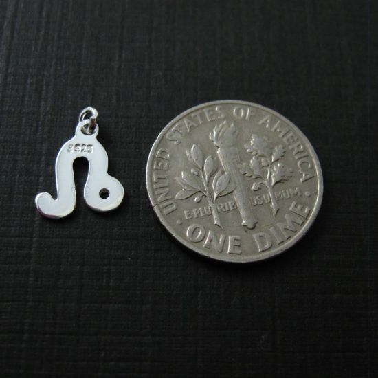 Wholesale Sterling Silver Zodiac Horoscope Charms, Charms and Pendants for Jewelry Making, Wholesale Findings