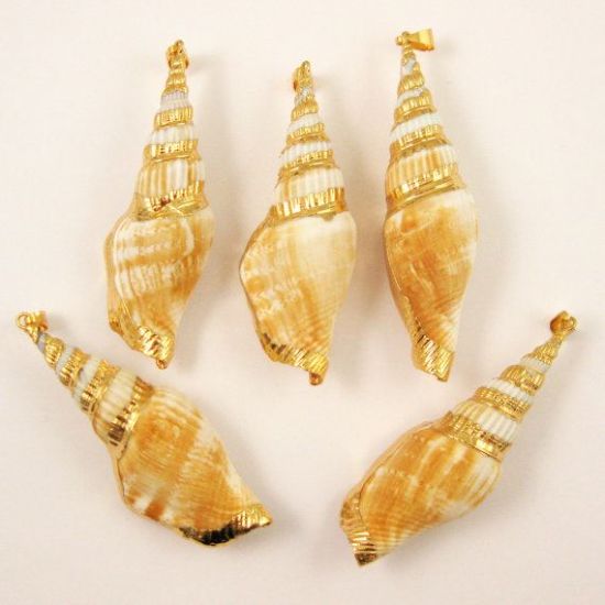 Wholesale Nature Shell Pendant, Large Necklace Pendant, Gold wrapped Shell Pendant, Natural Shaded Shell with Gold Dipped Edging, 68mm