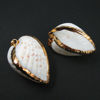 Wholesale Genuine Shell Pendant, Coquina Gold Wrapped Shell Pendant,Natural Shaded Closed Coquina Shell with Gold Wrapping