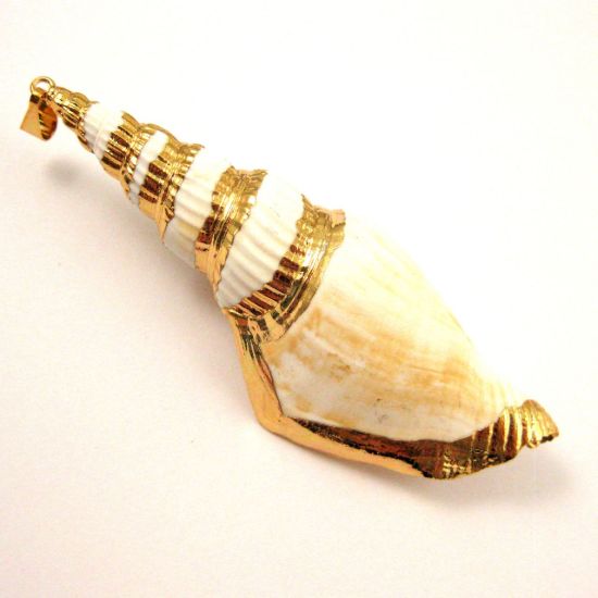 Wholesale Nature Shell Pendant, Large Necklace Pendant, Gold wrapped Shell Pendant, Natural Shaded Shell with Gold Dipped Edging, 68mm