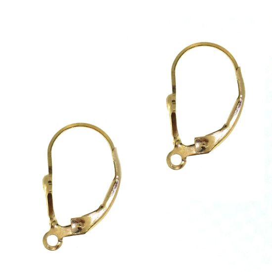 1/20 14K Gold Filled Leverback Ear Wires