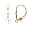 1/20 14K Gold Filled Leverback Ear Wires