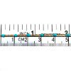 Wholesale 1/20 14K Gold Filled Sterling Silver  Bulk Cable Chain with Turquoise Enamel - (sold per foot)
