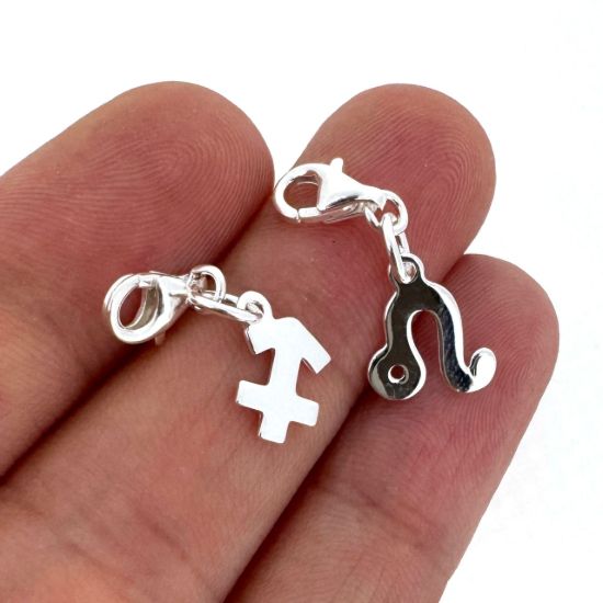 Wholesale 925 Sterling Silver Zodiac Sign Horoscope ADD ON Charms with Clasp