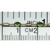 Wholesale 1/20 14K Gold Filled Long Box - 1+3 PaperClip Enamel Chain (Peridot Color) - 3.6mm by 1.6mm (Sold per foot)