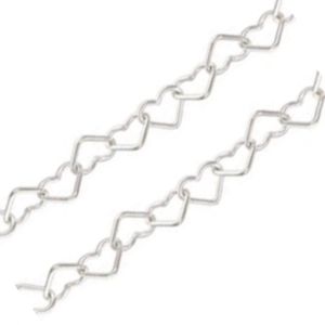 The picture of Silver Permanent Jewelry Chains